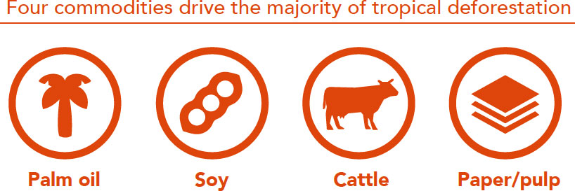 Four commodities drive the majority of tropical deforestation.